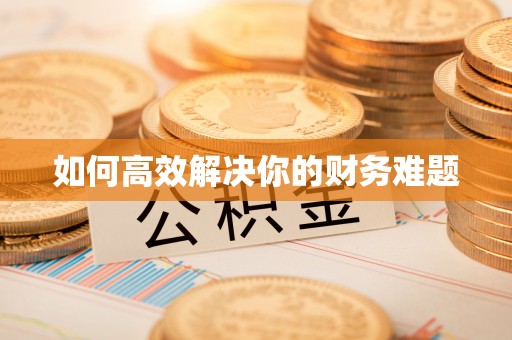 黔东南如何高效解决你的财务难题